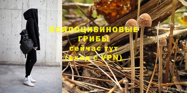 МДМА Верхний Тагил